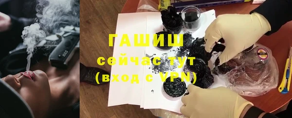 сатива Богданович