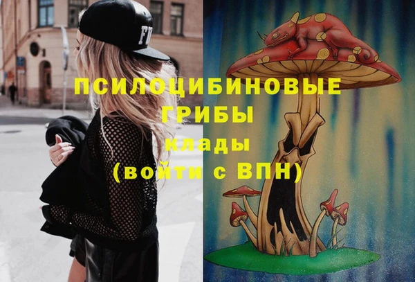 сатива Богданович