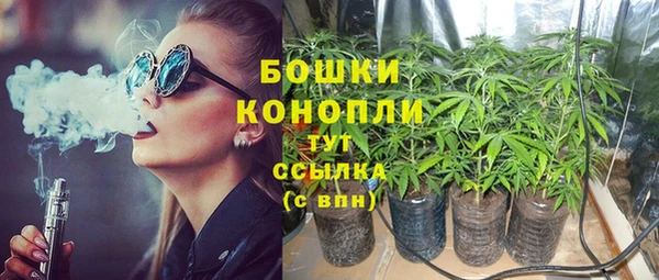 сатива Богданович